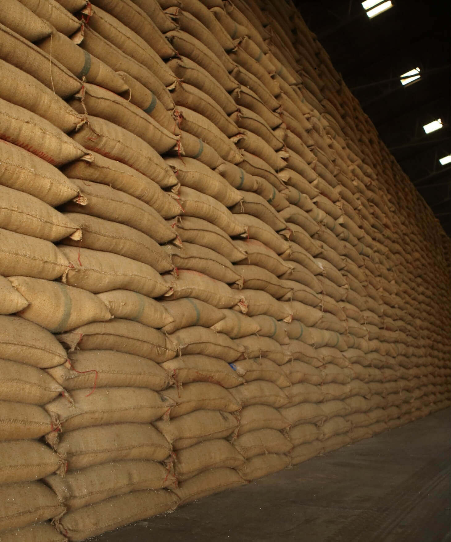 We transitioned from oil, wheat, and cotton to rice and moved to Delhi.