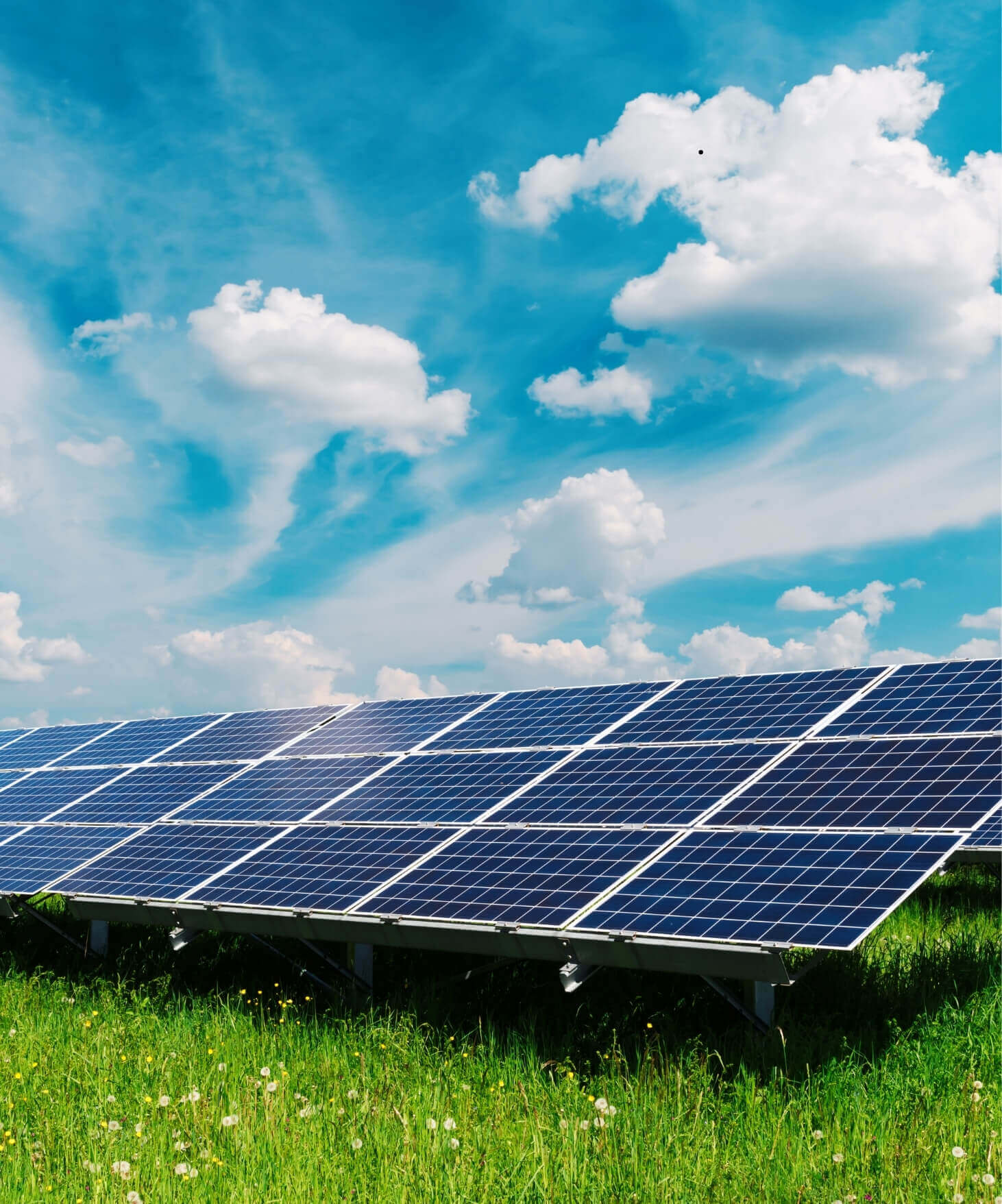 Reached ₹2,000 Crore
revenue, ventured into
solar power business.