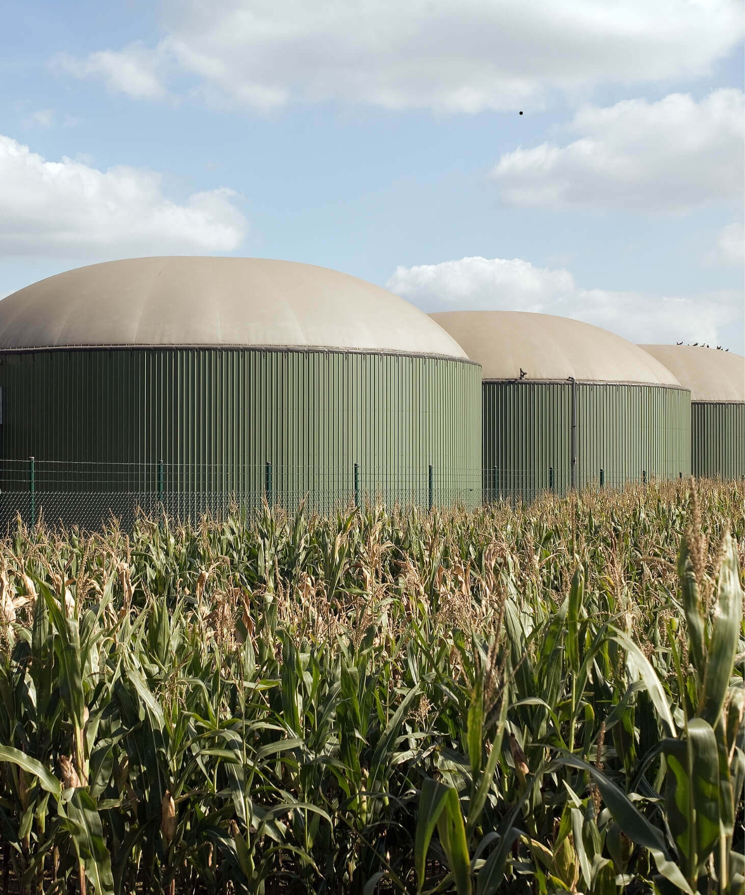 Expanded energy portfolio, certified for
rice exports to China and USA.