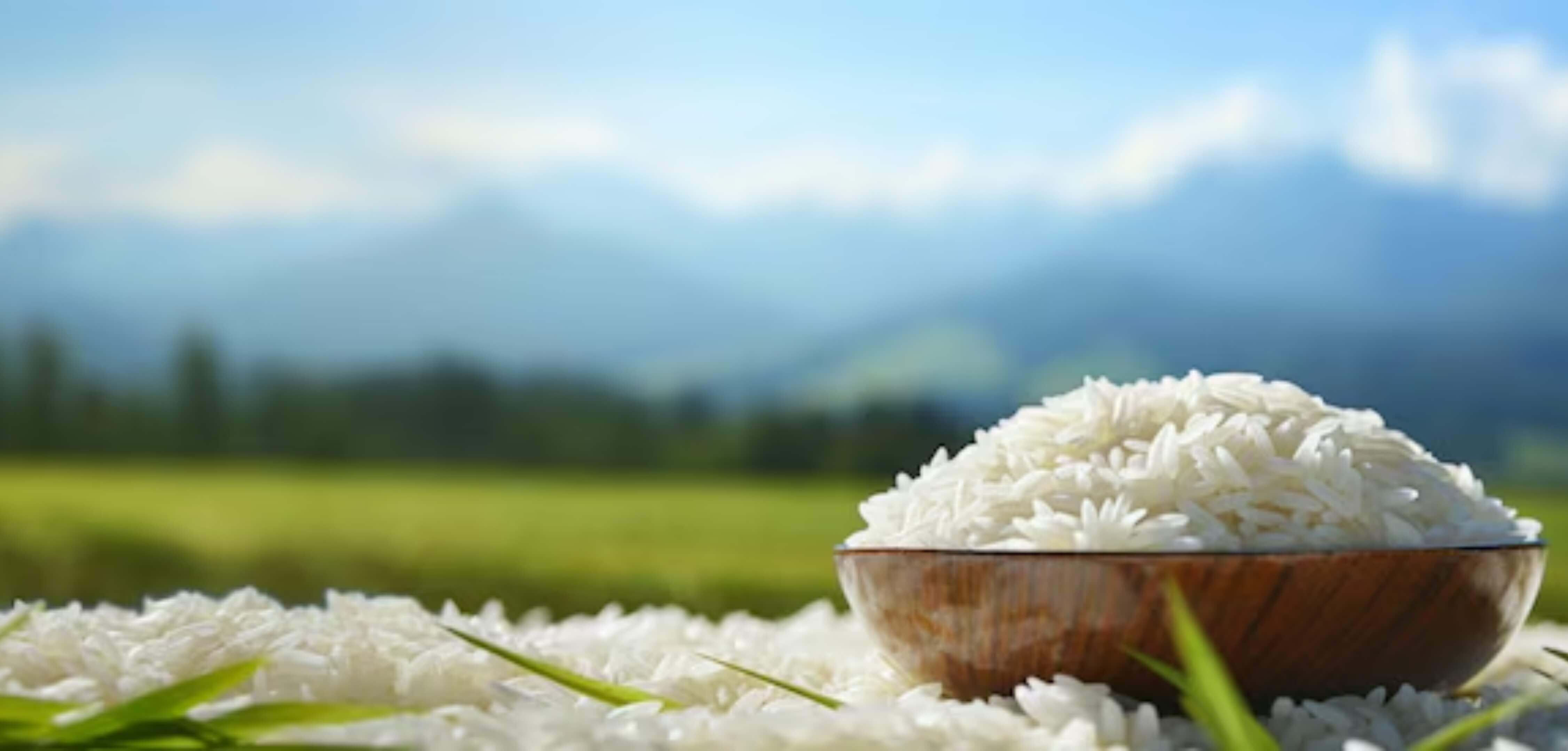 explore rice desktop banner Banner